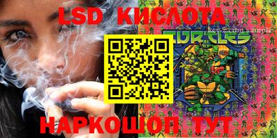 PSILOCYBIN Камышлов