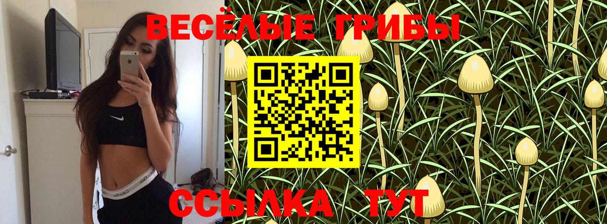 Галлюциногенные грибы GOLDEN TEACHER  Вход с VPN  Куйбышев 